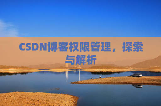 CSDN博客权限管理，探索与解析